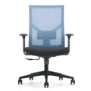 Staff Mesh Chair