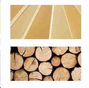 wood